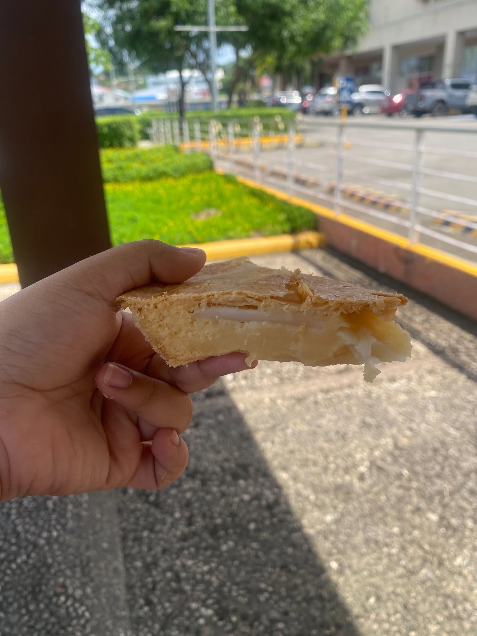 A Slice of Buko Pie - CocoPie